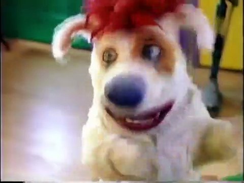 라이브바카라￣〈 KOK47。COM 〉￣라이브바카라