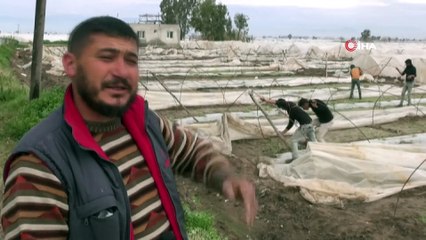 Tarsus'ta hortumun vurduğu seralarda bakım ve onarım çalışmaları sürüyor