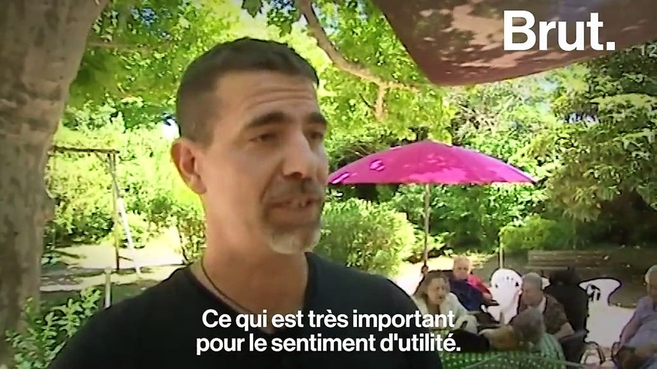 Les animaux s'invitent dans les maisons de retraite