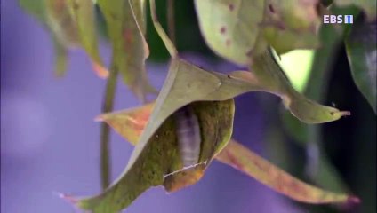 가평출장안마 -100%미인ョØ1Øh2997b5327{DDR88카톡}가평전지역출장마사지샵가평출장go안마ok가평출장마사지황형ИЙК내상제로콜걸샵