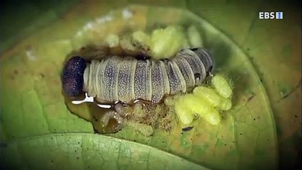 연천출장안마 -100%미인ョØ7Øf8782a38ØØ【tpr828카톡】연천전지역출장마사지샵연천출장go안마ok연천출장마사지황형ЛМН마인드최고출장맛사지