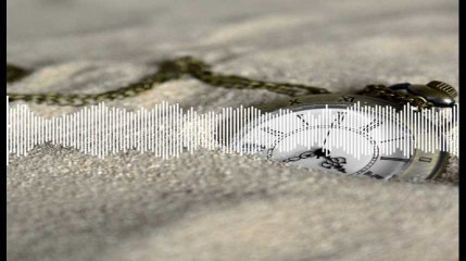 Minute Papillon! Flash info midi  - 4 mars 2019