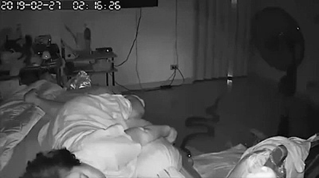 Un énorme python mord une grand-mère pendant qu'elle dormait