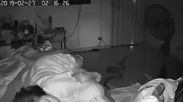 Un énorme python mord une grand-mère pendant qu'elle dormait