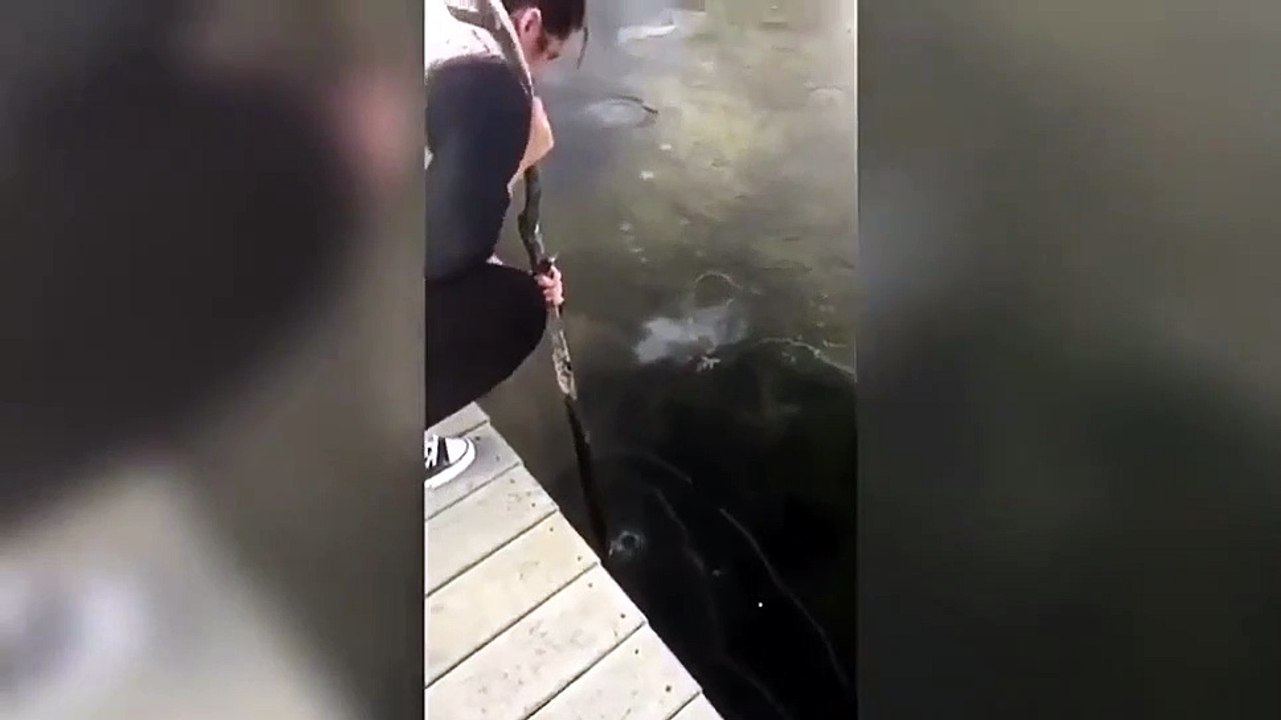 Gros fail en voulant briser la glace d'un lac à l'aide d'un bâton _