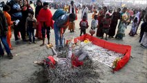 Final millions arrive at India's Kumbh megafestival