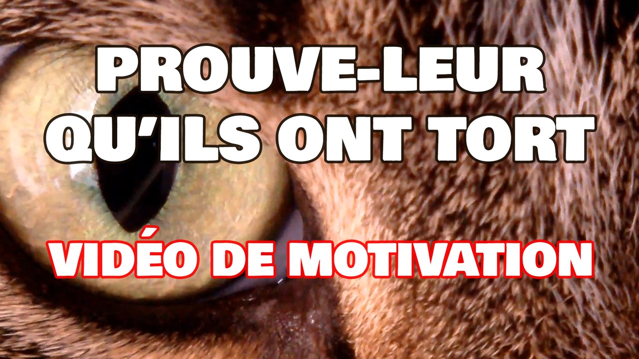 PROUVE-LEUR QU'ILS ONT TORT - Vidéo de Motivation