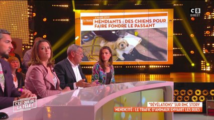 Mendicité : le trafic d'animaux envahit les rues