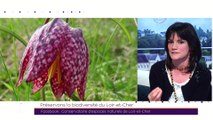 TILT - 04/03/2019 Partie 2 - Préservons la biodiversité du Loir-et-Cher