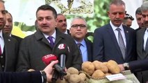 Tarım ve Orman Bakanı Bekir Pakdemirli: 'Niğde’de üretilen renkli taraftar patatesleri yakın zamanda piyasaya çıkacak'