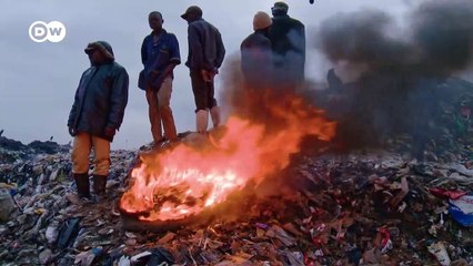 Channel trailer | DW Documentary