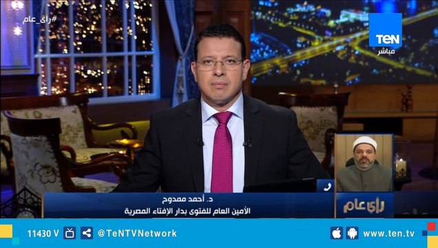 الإفتاء: الإسلام أقر أن يكون قتل الكلاب هو الحل الأخير وأن يكون رحيماً