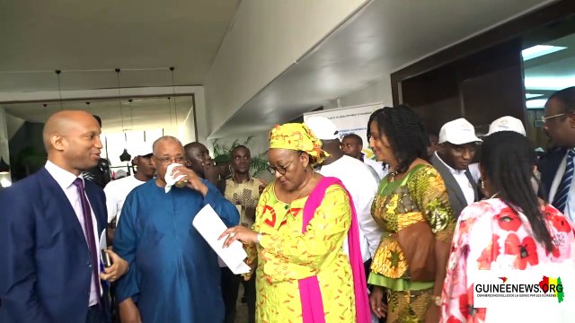 Guinée : le gouvernement lance une campagne de vulgarisation du PNDES 2016-2020