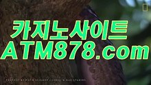 역카지노투데이 ≤S T K 4 2 4。COM≥