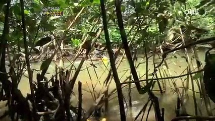 성북구출장안마 -100%ョ안전Ø7Øz4113aØØ27{카톡zhf526}성북구전지역출장마사지샵성북구출장hk안마co성북구출장마사지황형чшщ출장맛사지미인아가씨