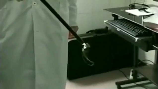 Les docteurs trouvent une sangsue de 10 cm dans la gorge d'un homme !