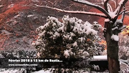 Février 2018-Février 2019 en Corse : Cherchez l'erreur !
