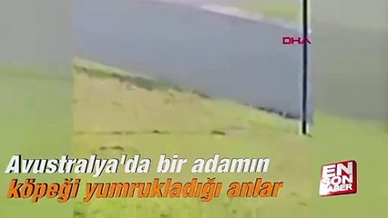 Avustralya'da bir adamın köpeği yumrukladığı anlar