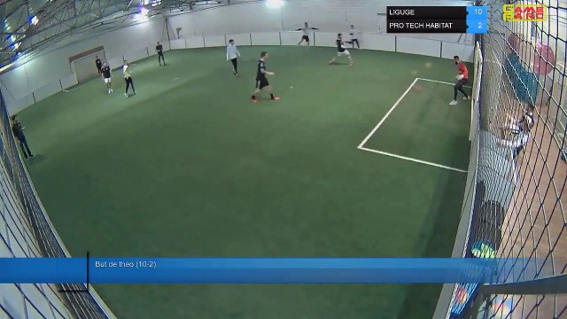 But de theo (10-2) - LIGUGE Vs PRO TECH HABITAT - 04/03/19 20:03 - LIGUE 1 - Poitiers Game Parc