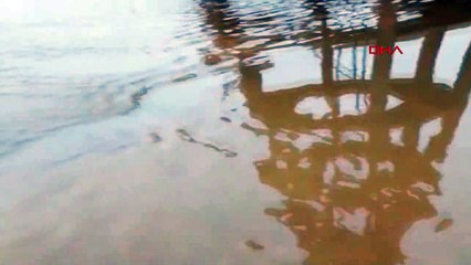 Evler ve tarım arazileri su altında kaldı