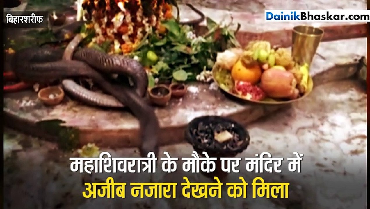 Bhaskar videos