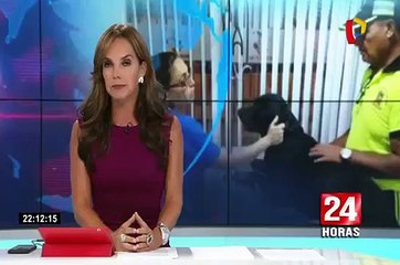 Chorrillos: despiden a sereno que maltrató a perro