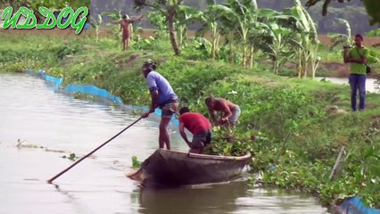 Net Fishing inThe Pond HD