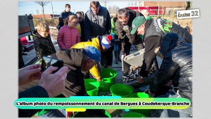 L'album photo du rempoissonnement du canal de Bergues à Coudekerque-Branche