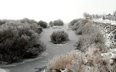 Doğu Anadolu Buz Kesti: Ardahan Eksi 20