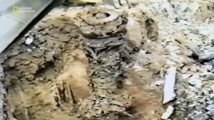 Uçak Kazası Raporu S19E06 Fatal Climb