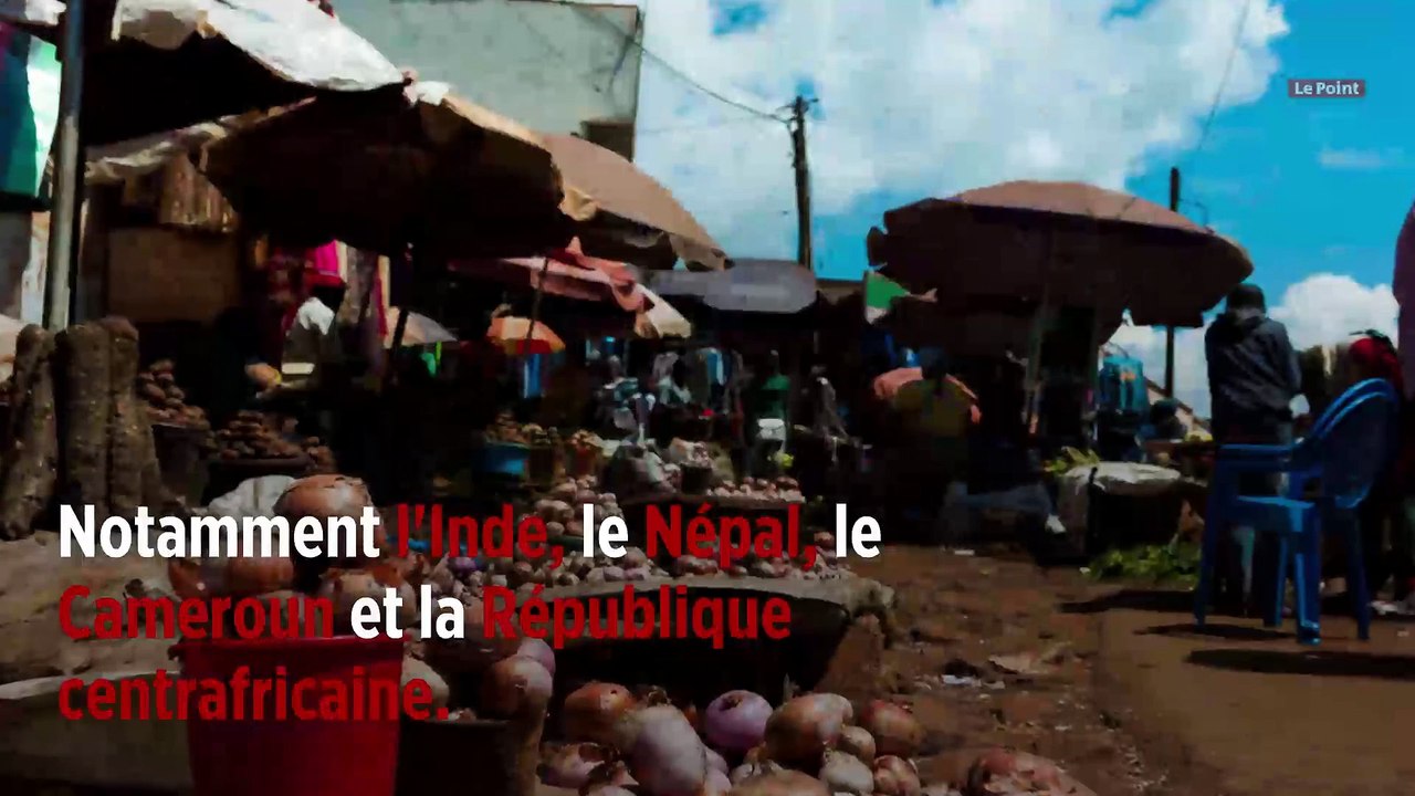 Les paramilitaires du WWF soupçonnés d'exactions