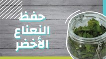 حفظ النعناع الأخضر