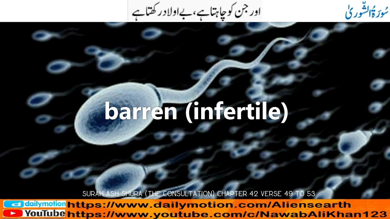 Quran Visualization Surah Ash Shura (The Consultation) Chapter 42 verse 49 to 53 with English & Urdu Translation