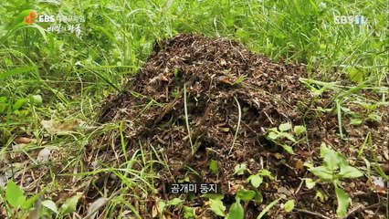 EBS 다큐프라임 - Docuprime_비밀의 왕국 1부- 제국의 탄생_#001