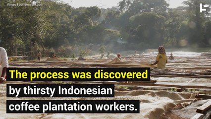 Kopi Luwak: Coffee beans that are pooped from a Cat