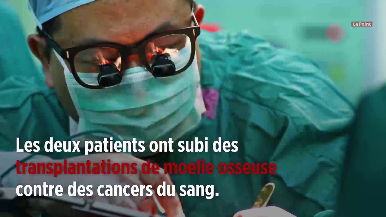 Deuxième cas mondial de rémission d'un patient atteint du VIH