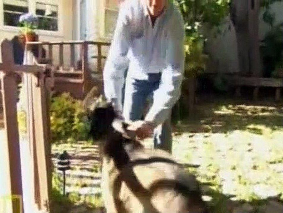 Dog Whisperer S02E14 Greta & Hoss, Sotrm and Chula