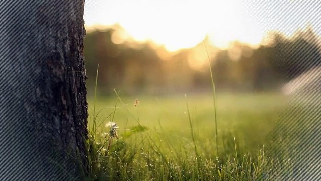 A vendre - Appartement - Bulle (1630) - 2.5 pièces - 52m²