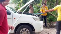 Driver terrified after finding 16ft long king cobra inside her car engine