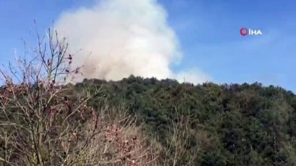 Download Video: Sultangazi Cebeci Köyü'nde ormanlık alanda yangın çıktı. Olay yerine çok sayıda itfaiye ekibi sevk edildi