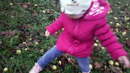 Melek Köyde | Melek TV