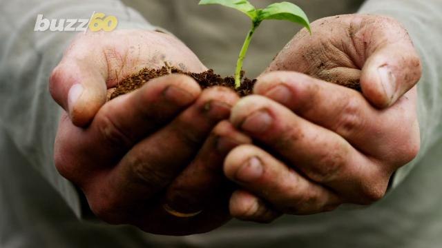 You May Not Be Saving the Earth Just By Buying Environmentally Friendly Products