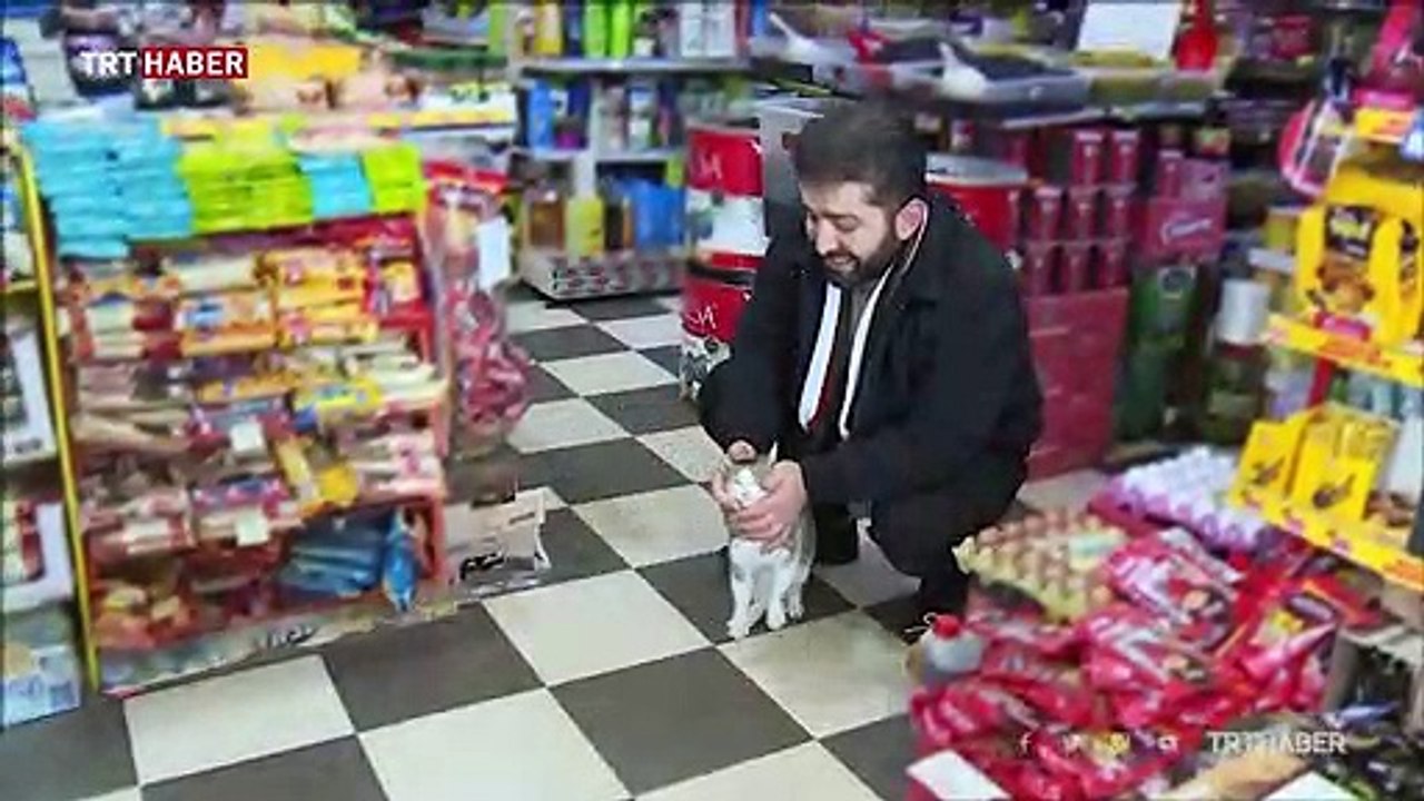 Rizeli esnaf ve kedisi "Kanki"