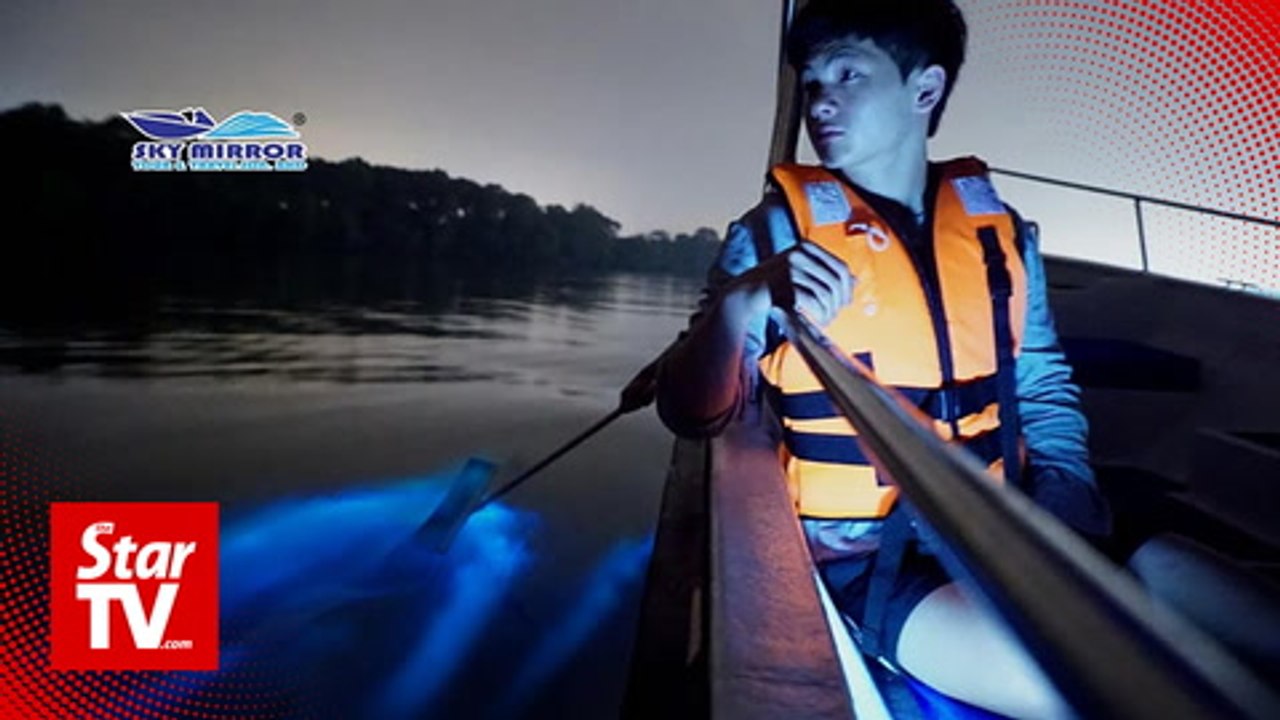 Discovering “blue tears” in Kuala Selangor