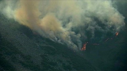"En Asturias se normaliza la cultura del fuego", según la Coordinadora Ecologista