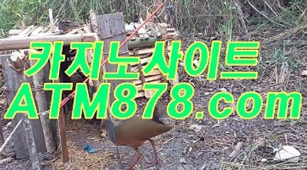 카지노비디오게임 ≤T T S 3 3 2。COM≥ 카지노비디오게임