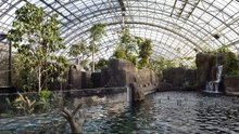Die schönsten Zoos der Welt