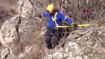 Tokat Kayalıklarda 2 Gündür Mahsur Kalan Keçiyi Afad Kurtardı