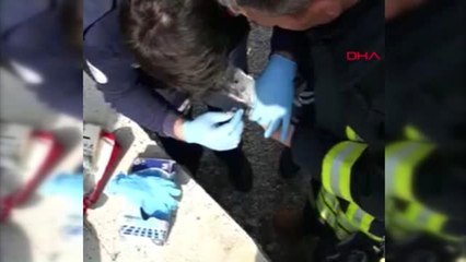 Denizli Yaralı Güvercine İlk Müdahaleyi İtfaiye Yaptı