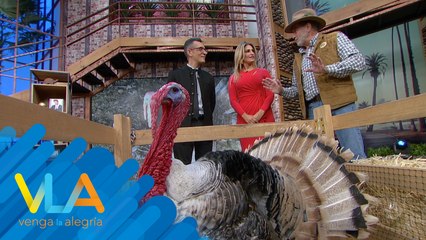 ¿De dónde proviene la frase 'amor platónico'? Sergio Sepúlveda nos explica en De Lengua Me Como Un Taco.